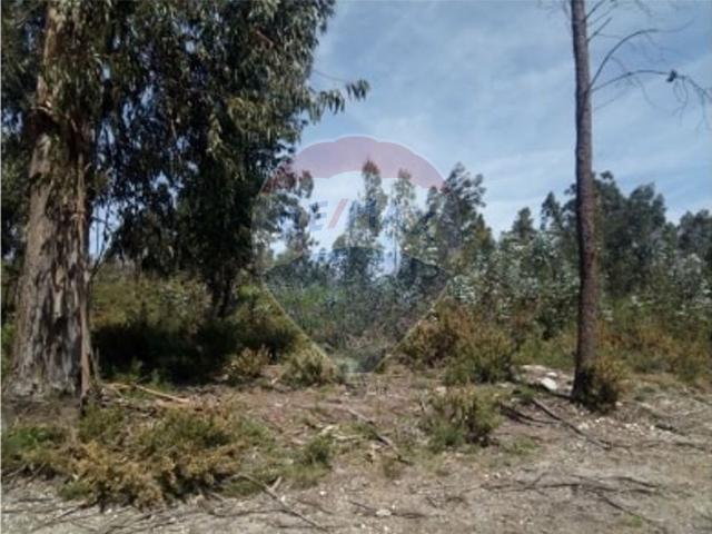 Terreno à venda em Gondoriz, Arcos de Valdevez RE/MAX Portugal