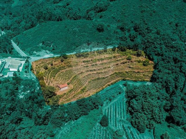 Terreno à venda em Gondoriz, Terras de Bouro RE/MAX Portugal