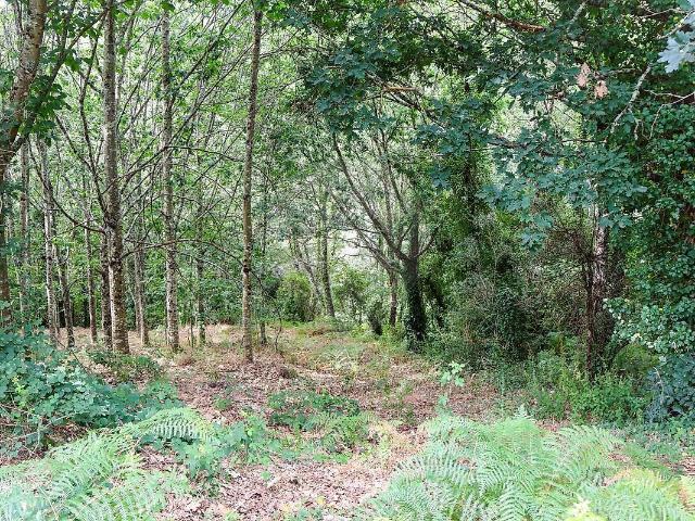 Terreno à venda em Gondar, Amarante RE/MAX Portugal