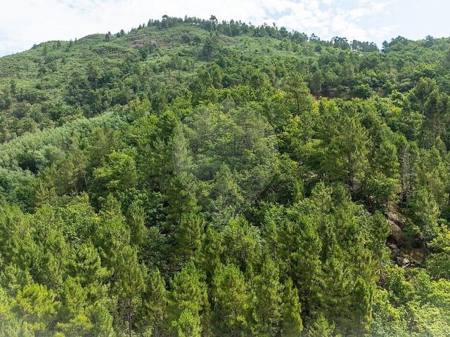 Terreno à venda em Gondar, Amarante RE/MAX Portugal