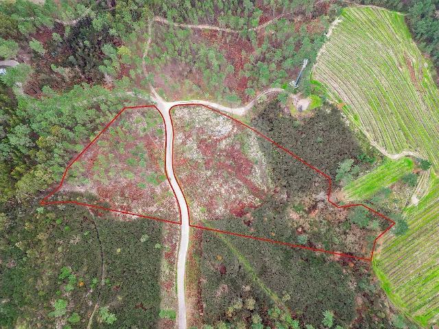 Terreno à venda em Gondar, Amarante RE/MAX Portugal