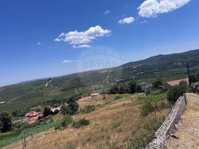 Terreno à venda em Gosende, Castro Daire RE/MAX Portugal