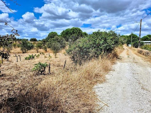 Terreno à venda em Gavião e Atalaia, Gavião RE/MAX Portugal