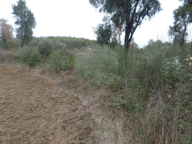 Terreno à venda em Gavião e Atalaia, Gavião RE/MAX Portugal