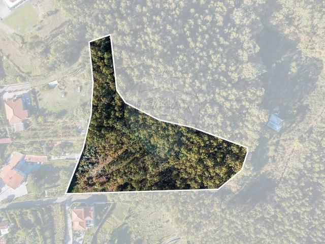 Terreno à venda em Galegos, Póvoa de Lanhoso RE/MAX Portugal