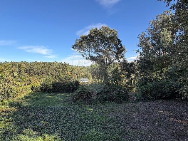 Terreno à venda em Galegos São Martinho, Barcelos RE/MAX Portugal