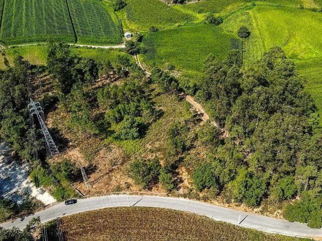 Terreno à venda em Galegos Santa Maria, Barcelos RE/MAX Portugal