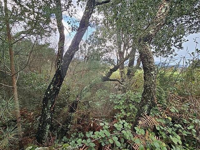 Terreno à venda em Gandra e Taião, Valença RE/MAX Portugal