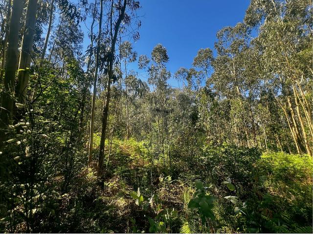 Terreno à venda em Ganfei São Salvador, Valença RE/MAX Portugal
