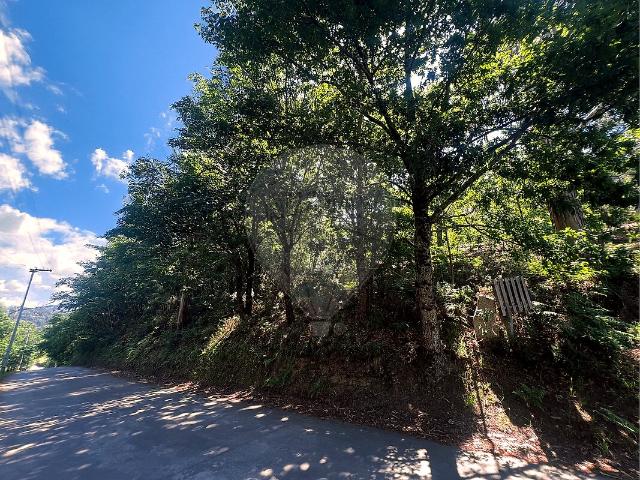 Terreno à venda em Ganfei São Salvador, Valença RE/MAX Portugal