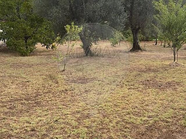 Terreno à venda em Geme, Vila Verde RE/MAX Portugal