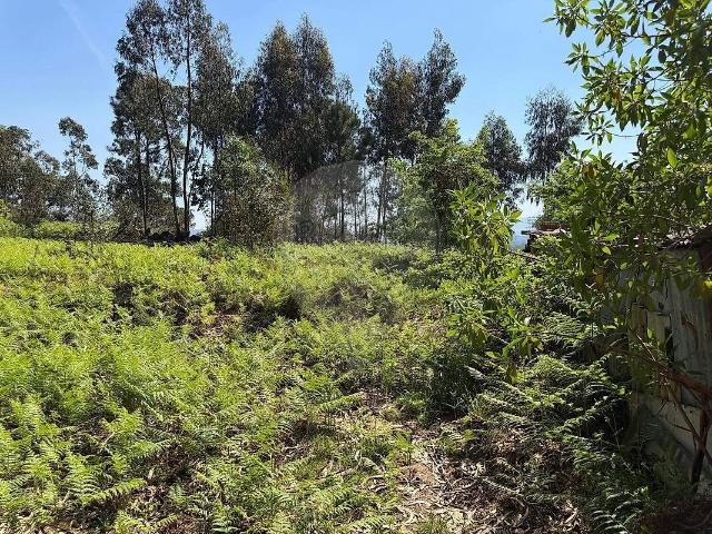 Terreno à venda em Geme, Vila Verde RE/MAX Portugal