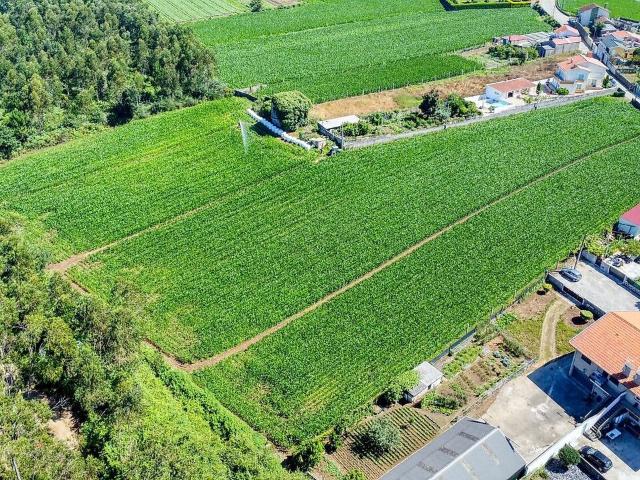 Terreno à venda em Gião, Vila do Conde RE/MAX Portugal