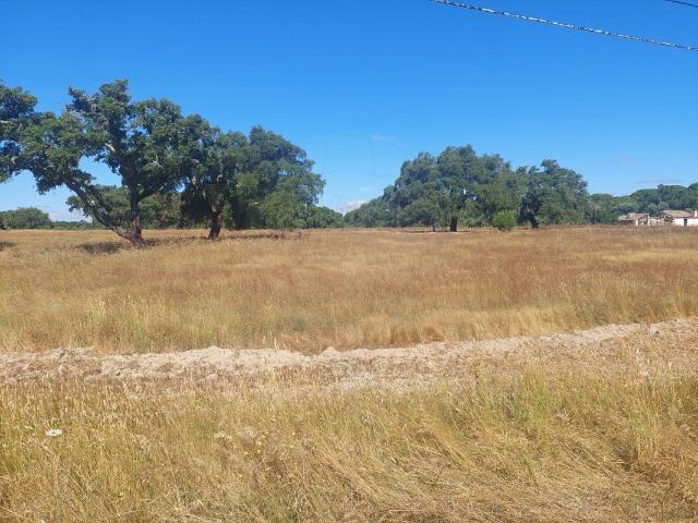 Terreno à venda em Grândola
