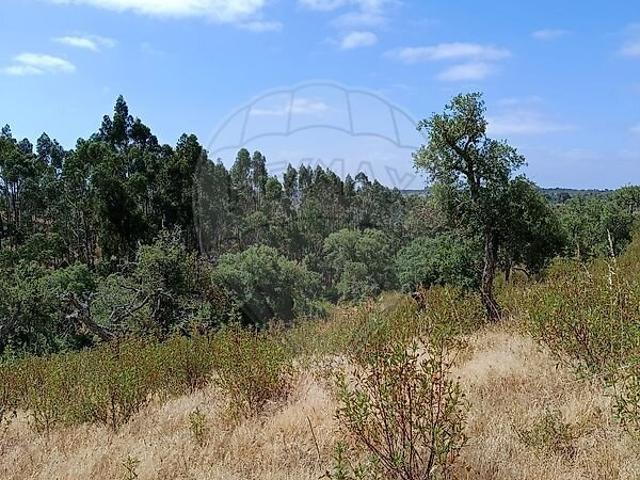 Terreno à venda em Grândola e Santa Margarida da Serra, Grândola RE/MAX Portugal