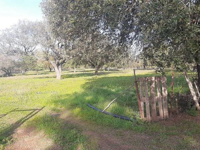 Terreno à venda em Granja, Mourão RE/MAX Portugal