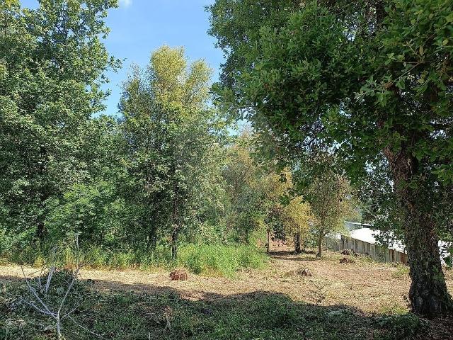 Terreno à venda em Grijó e Sermonde, Vila Nova de Gaia RE/MAX Portugal