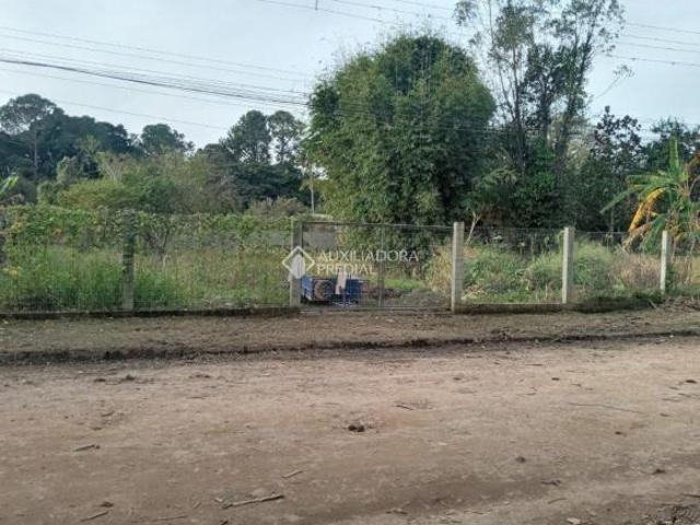 Terreno à venda em Guaíba