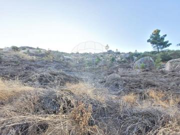Terreno à venda em Guarda