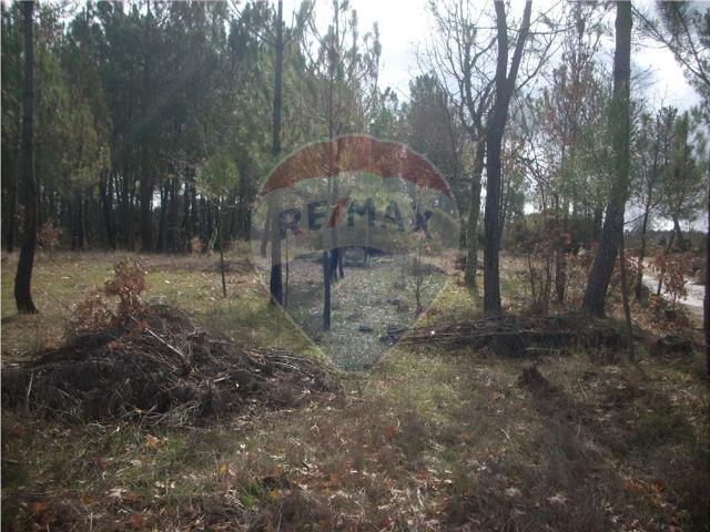 Terreno à venda em Guarda