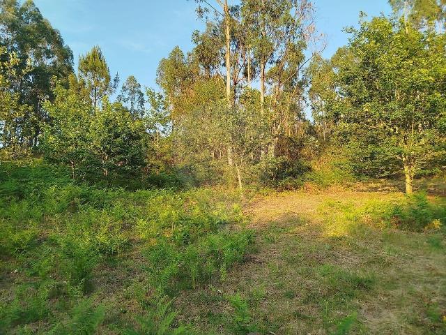 Terreno à venda em Guilhofrei, Vieira do Minho RE/MAX Portugal