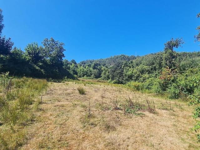 Terreno à venda em Dossãos, Vila Verde RE/MAX Portugal