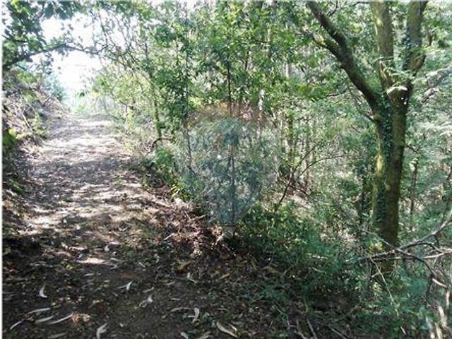 Terreno à venda em Destriz e Reigoso, Oliveira de Frades RE/MAX Portugal