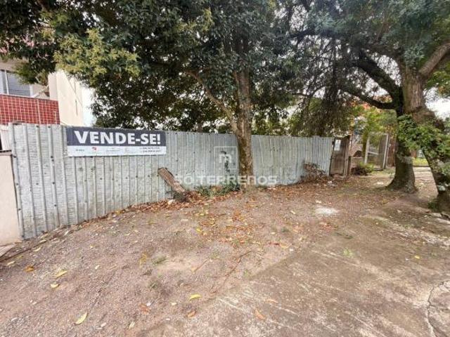 Terreno à venda em Desvio Rizzo