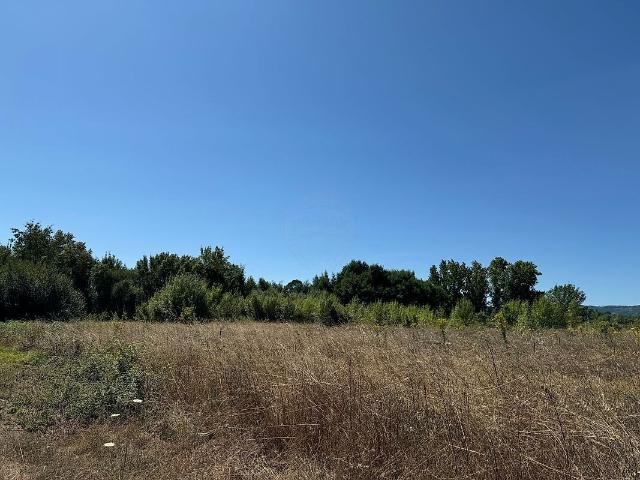 Terreno à venda em Enxames, Fundão RE/MAX Portugal