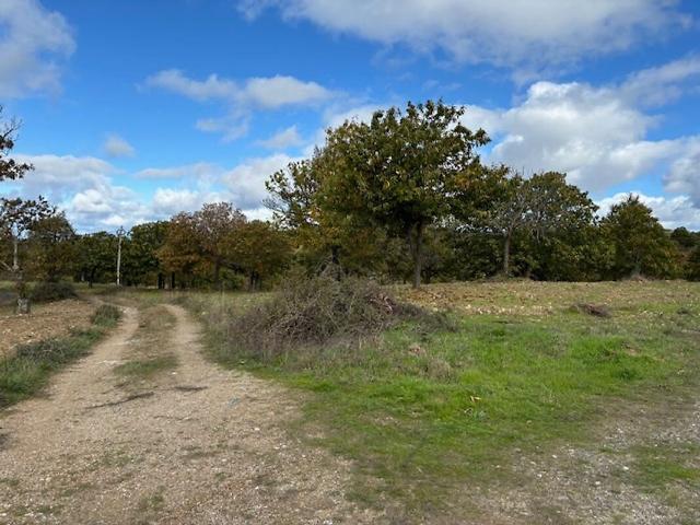 Terreno à venda em Edrosa, Vinhais RE/MAX Portugal