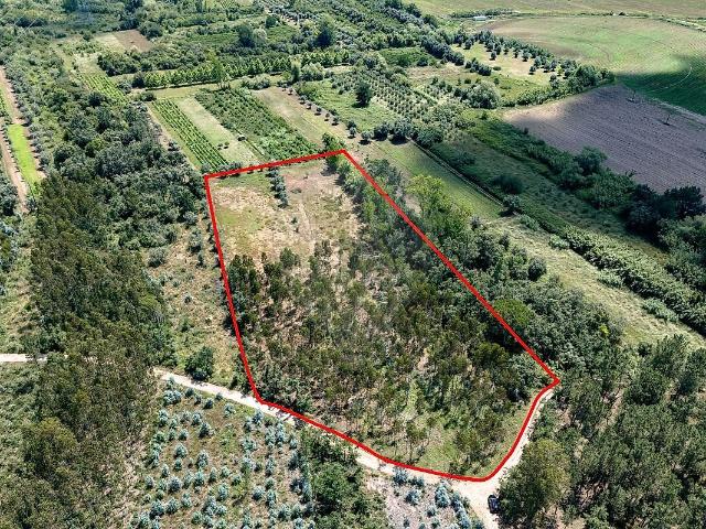 Terreno à venda em Ega, Condeixa a Nova RE/MAX Portugal