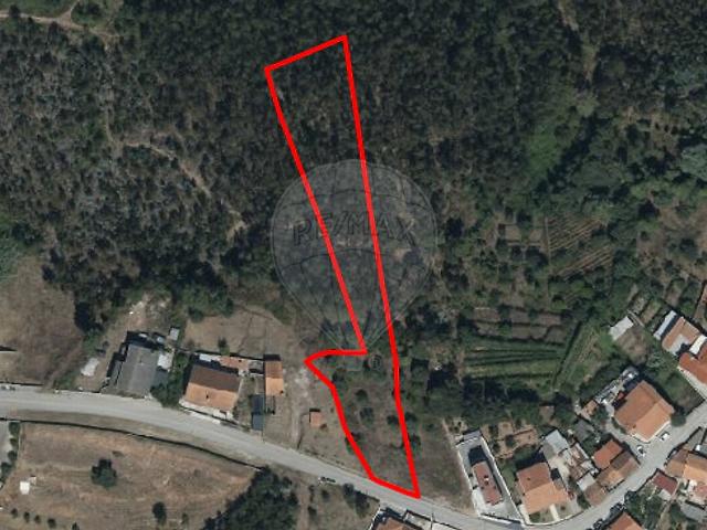 Terreno à venda em Eiras e São Paulo de Frades, Coimbra RE/MAX Portugal