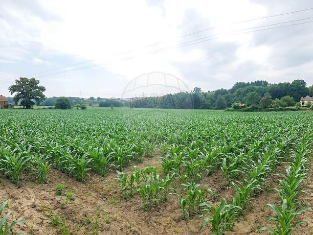 Terreno à venda em Eiriz, Paços de Ferreira RE/MAX Portugal