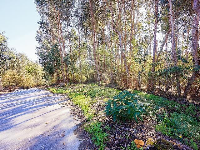 Terreno à venda em Eja, Penafiel RE/MAX Portugal
