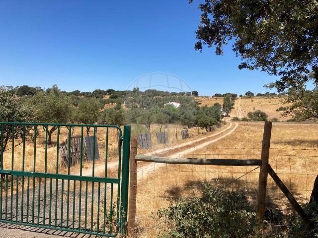 Terreno à venda em Elvas