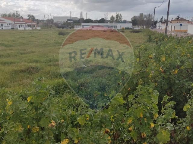 Terreno à venda em Elvas