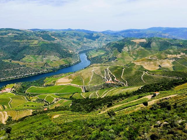 Terreno à venda em Ervedosa do Douro, São João da Pesqueira RE/MAX Portugal