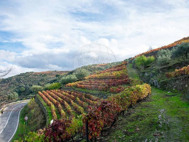Terreno à venda em Ervedosa do Douro, São João da Pesqueira RE/MAX Portugal