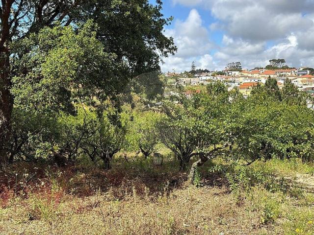 Terreno à venda em Ericeira, Mafra RE/MAX Portugal