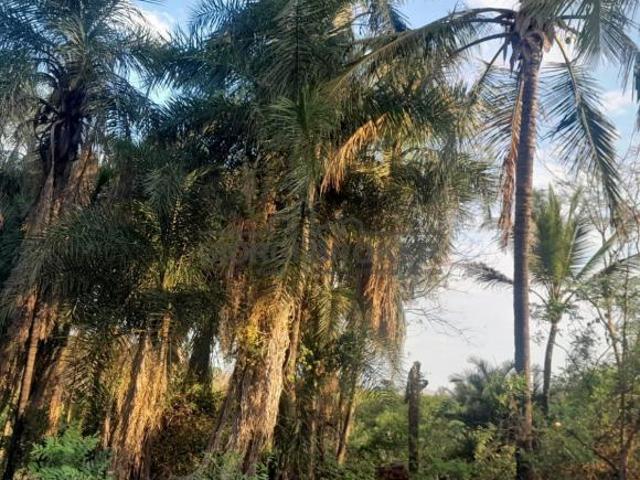 Terreno à Venda em Estância Beira Rio, 1.000 m2, SP