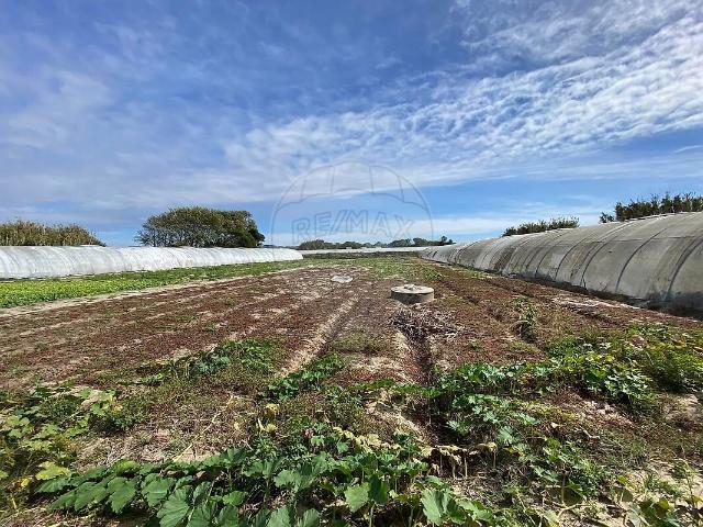 Terreno à venda em Estela, Póvoa de Varzim RE/MAX Portugal