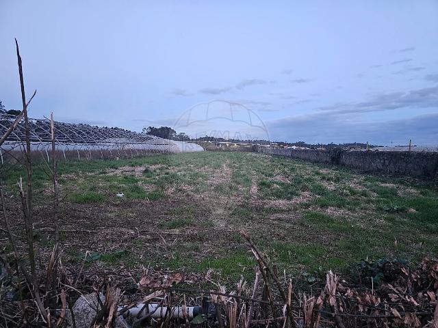Terreno à venda em Estela, Póvoa de Varzim RE/MAX Portugal