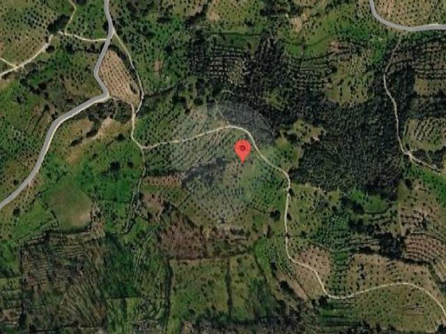 Terreno à venda em Escalhão, Figueira de Castelo Rodrigo RE/MAX Portugal