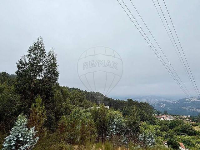 Terreno à venda em Espadanedo, Cinfães RE/MAX Portugal