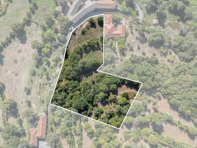 Terreno à venda em Esperança e Brunhais, Póvoa de Lanhoso RE/MAX Portugal