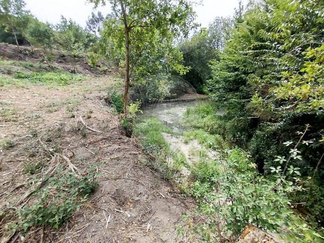 Terreno à venda em Esperança e Brunhais, Póvoa de Lanhoso RE/MAX Portugal