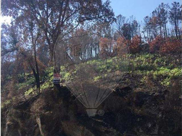 Terreno à venda em Espinho