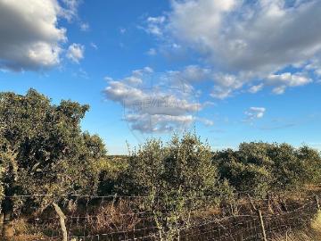 Terreno à venda em Évora
