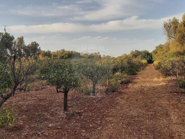 Terreno à venda em Fontainhas