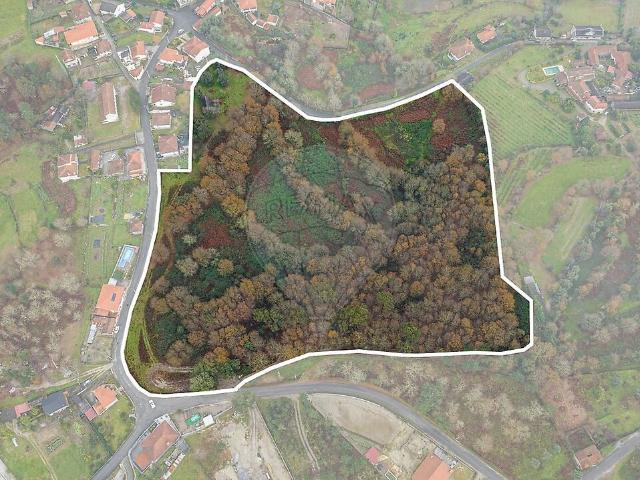 Terreno à venda em Fonte Arcada e Oliveira, Póvoa de Lanhoso RE/MAX Portugal